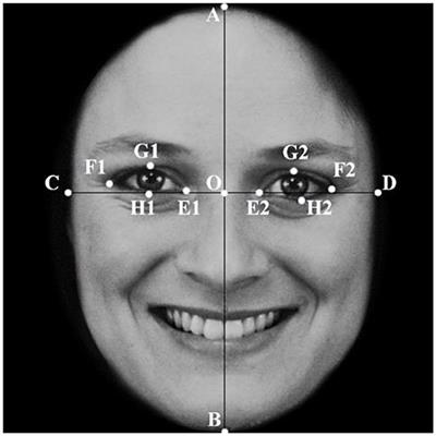 Eye Size Affects Cuteness in Different Facial Expressions and Ages